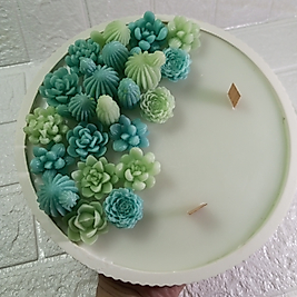 Beton tabaklı Kaktüs Mum Dekoratif Tasarım Hediyelik