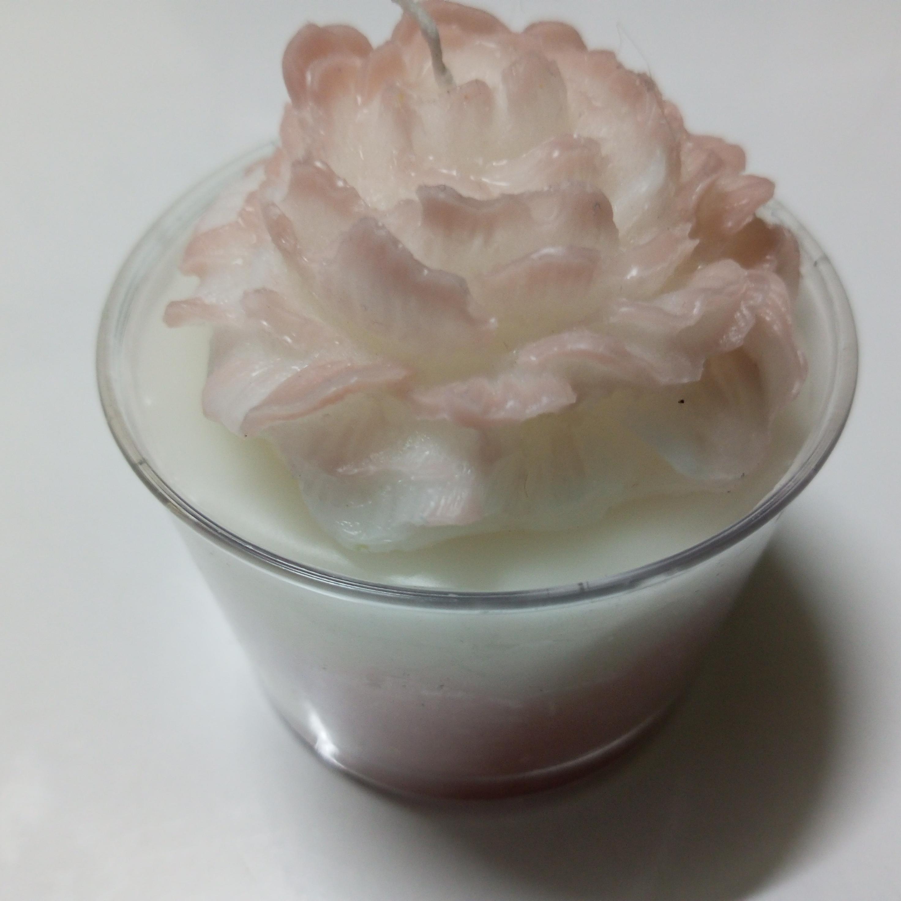 Pudra Renkli Cup Şakayık Mum